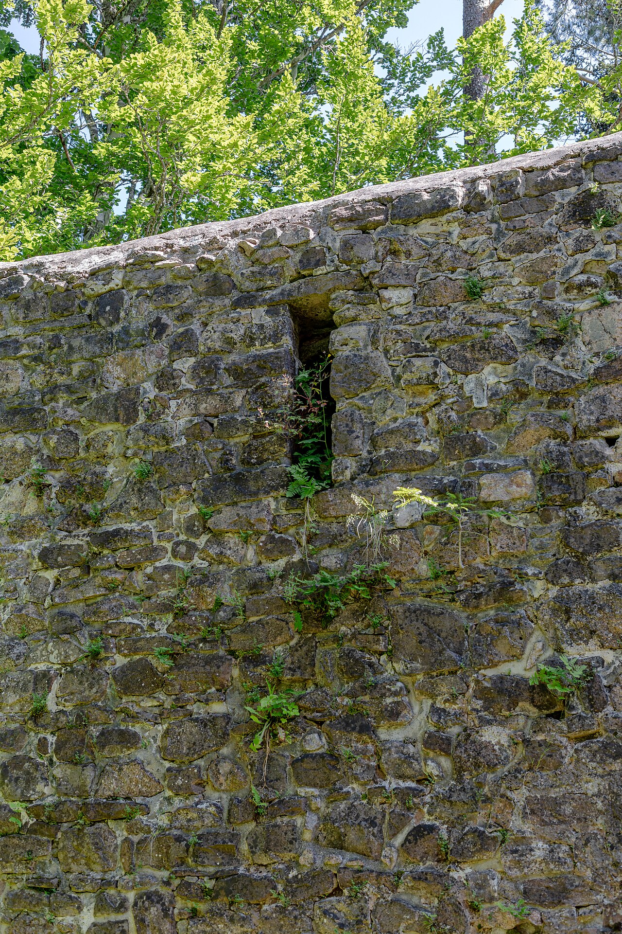 Les ruines d'un château médiéval