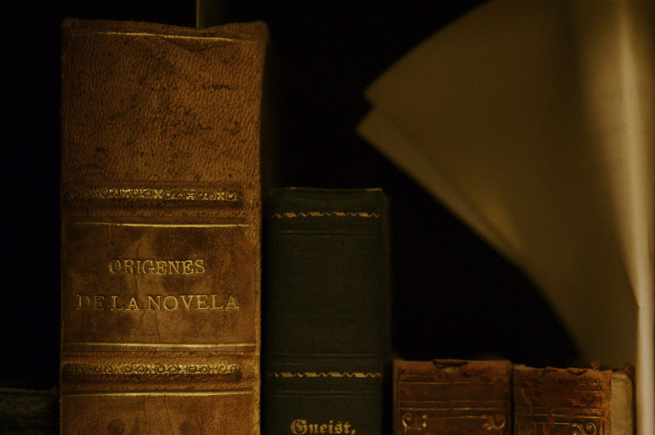 Des livres d'histoire sur une étagère