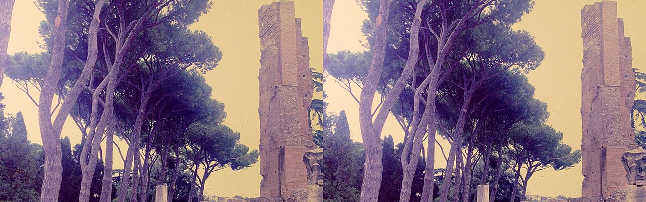 Les ruines du Forum romain à Rome