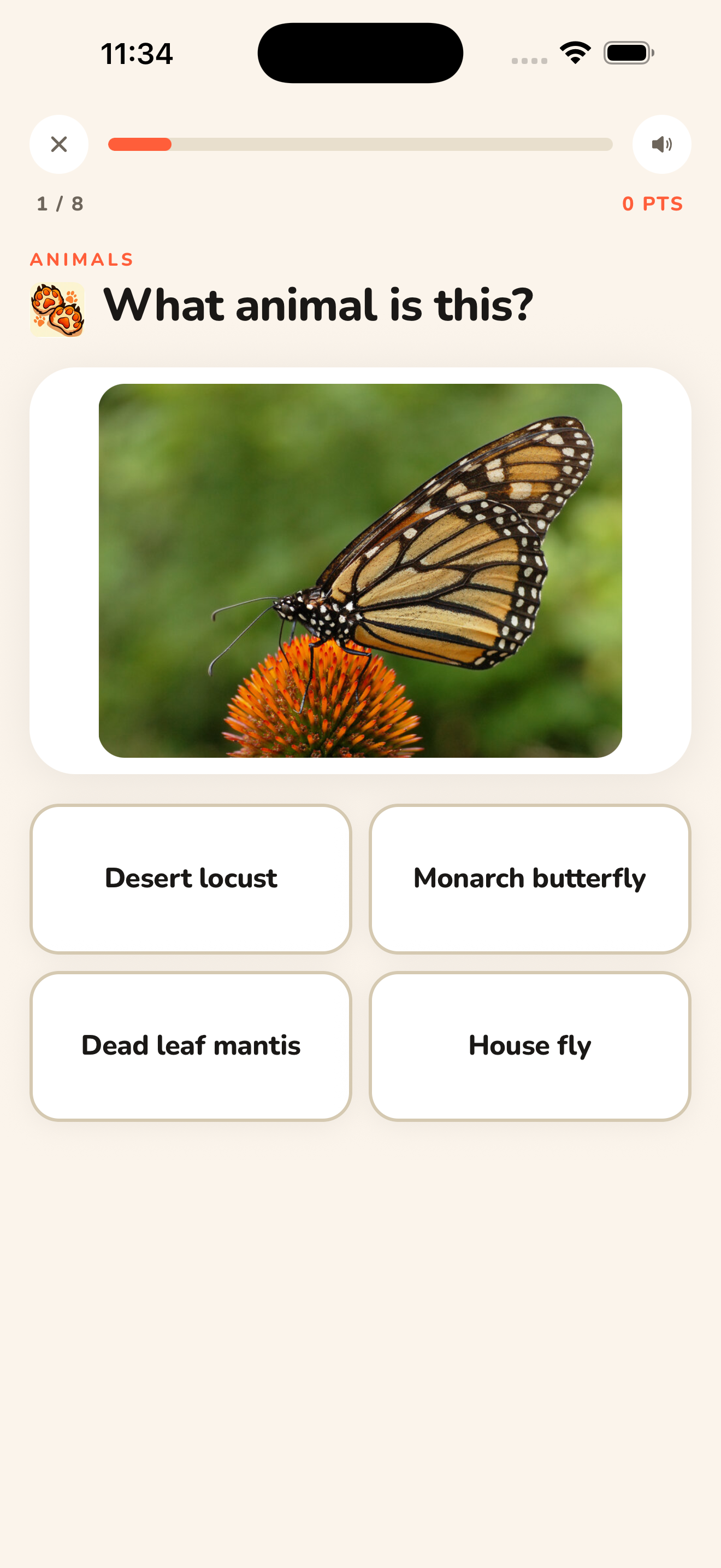 Animals Quiz SAPIRO