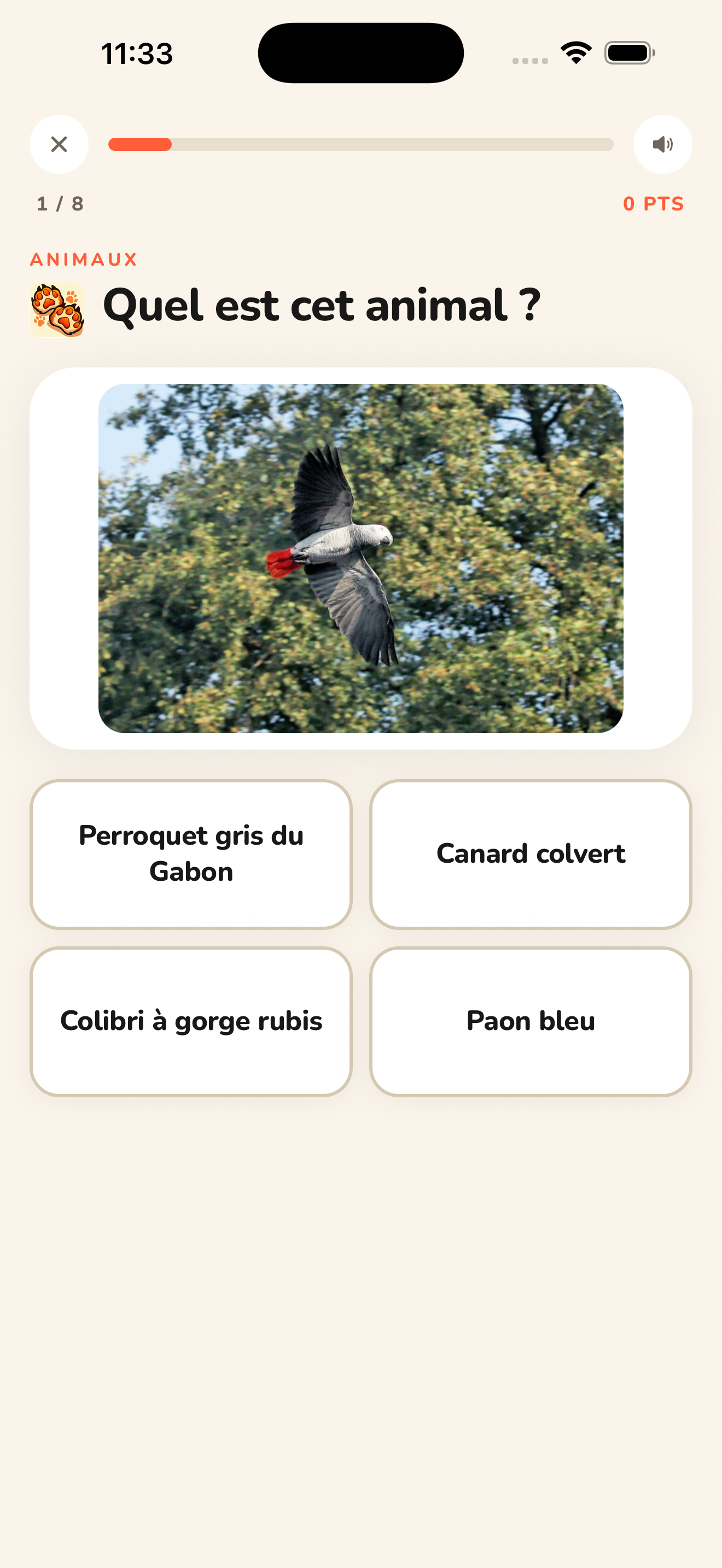 Quiz Animaux SAPIRO